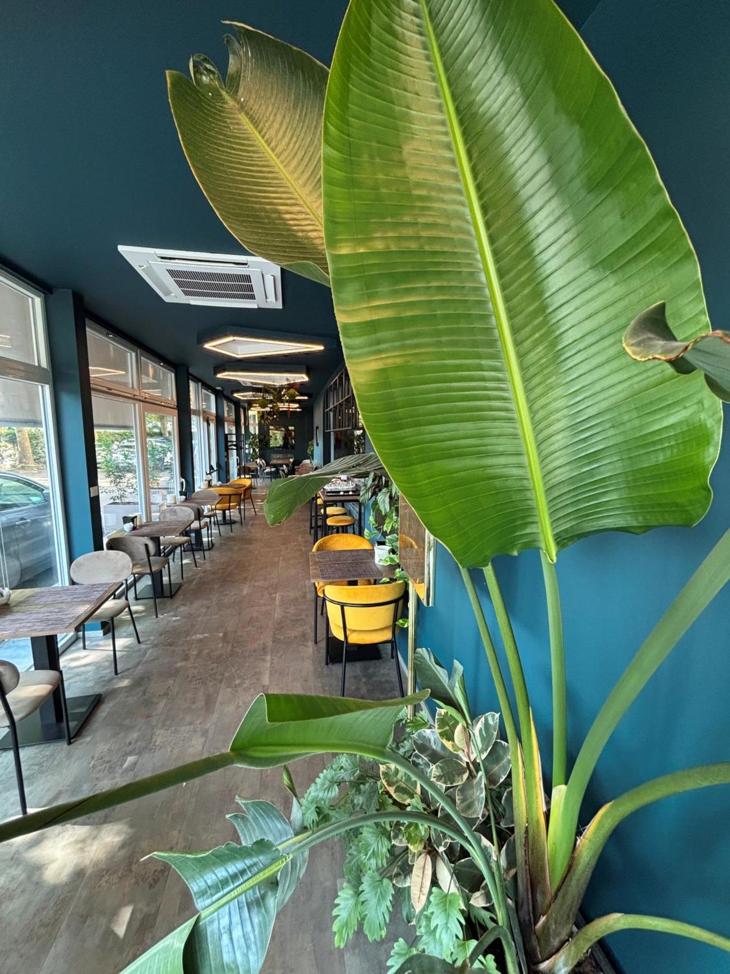 Fiera Wellness & 3*